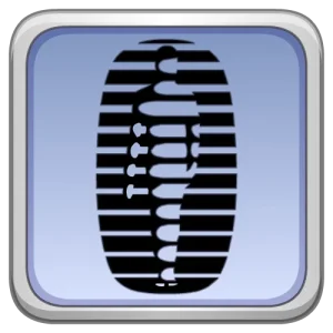 how chiropractic can help in glenside